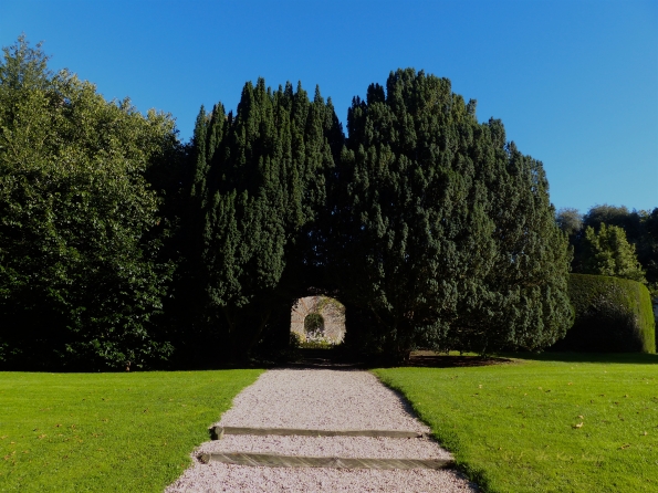 Eté indien au Bois des Moutiers 1